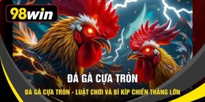 Đá Gà Cựa Tròn - Luật Chơi Và Bí Kíp Chiến Thắng Lớn